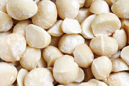 Salted macadamia nuts as backgroundの写真素材