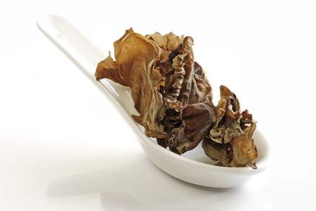 Mu Err Mushroomsの写真素材