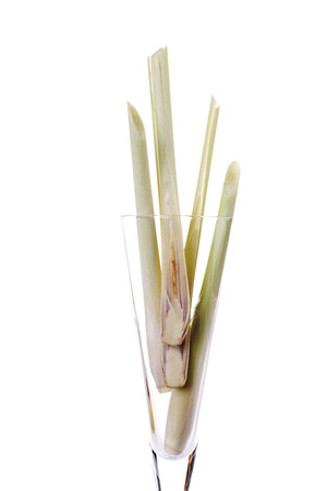 Lemongrass, close-upの写真素材