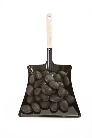 Egg coal on Dustpanの写真素材