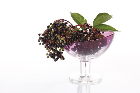 Black elder (Sambucus nigra) in glass bowlの写真素材