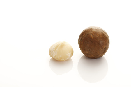 Macadamia nuts with kernelの写真素材