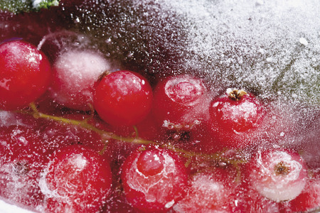 Frozen red currantsの写真素材