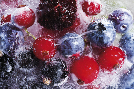 Frozen wild berries in a block of iceの写真素材