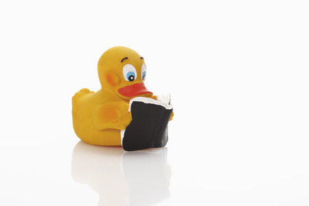 Rubber duck reading bookの写真素材