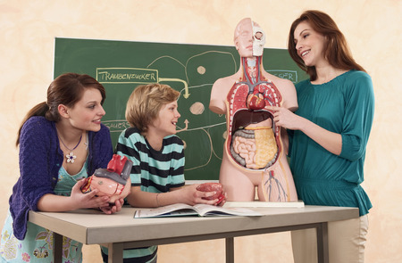 Teacher holding model of human body explaining students