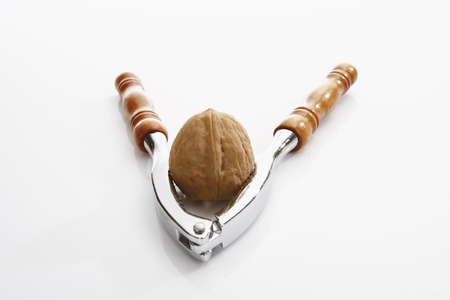 Walnut in nutcracker