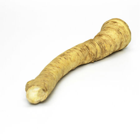 Fresh horseradish, close-upの写真素材
