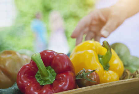 Italy, Tuscany, Magliano, Close up of red and yellow bell peppers