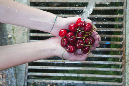 Italy, Tuscany, Magliano, Close up of woman's hand washing cherries under water
