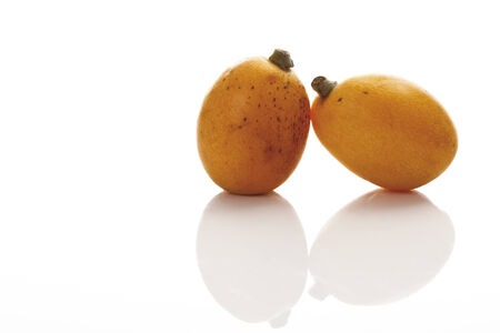 Medlars, ((Mespilus germanica)