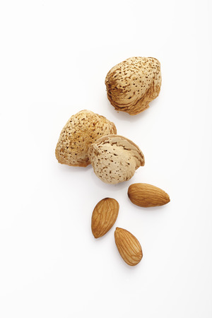 Almond with kernelの写真素材