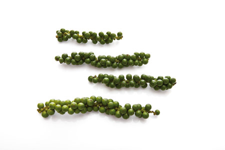 Green Peppercornsの写真素材