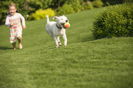 Young girl with dog playing in gardenの写真素材