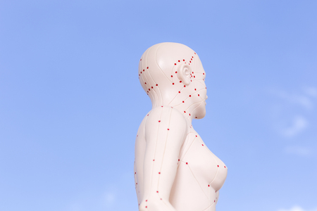 Chinese acupuncture puppet against blue skyの写真素材