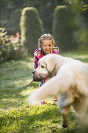 Joung girl playing with golden retriever in gardenの写真素材