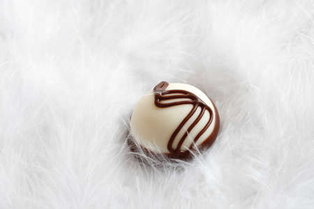 Praline on feathers