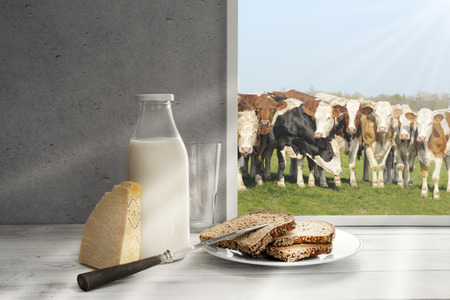 Fresh milk,cream bottle on window sill in countrysideの写真素材