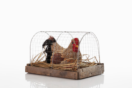 Easter hen decoration in cage on white backgroundの写真素材
