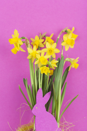 Pink felt Easter bunny in front of daffodilsの写真素材