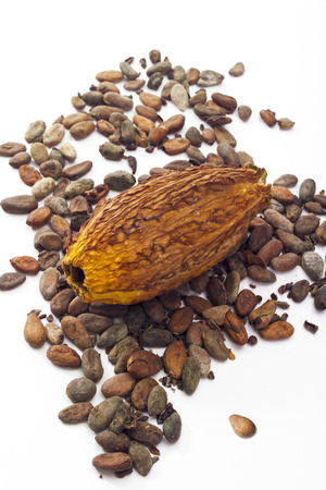 Cocoa fruit and cocoa beansの写真素材