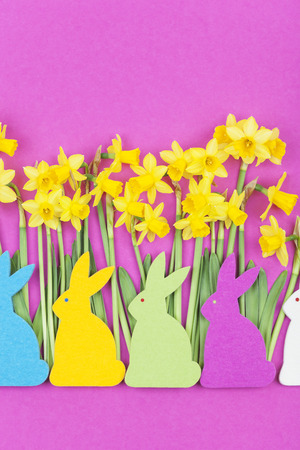 Colorful felt Easter bunnies in front of daffodilsの写真素材