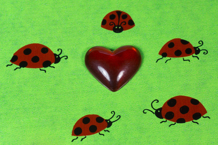 Ladybirds and heartの写真素材