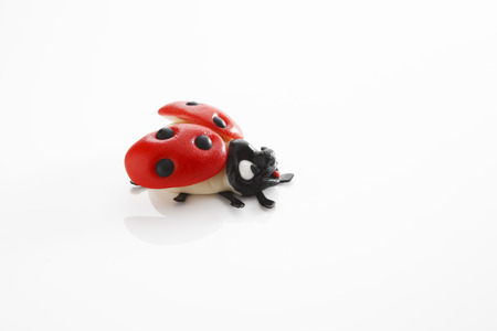 Marzipan, Ladybirdの写真素材