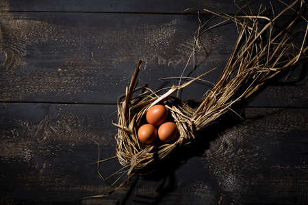 Easter nest, eggs in strawの写真素材