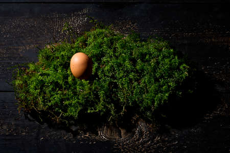 Easter nest, Easter egg on mossの写真素材