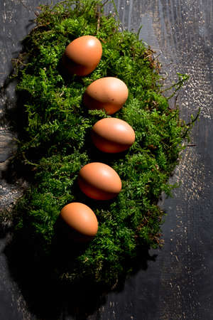 Easter eggs on moss, Easter nestの写真素材