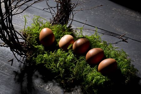 Easter eggs on moss, Easter nestの写真素材