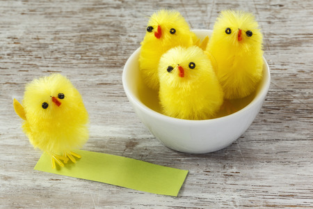 Eastern, chick figurines in bowl and on wood