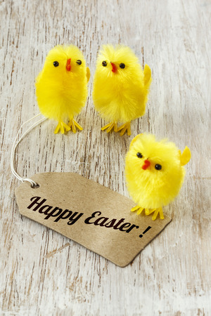 Eastern, chick figurines on wood, Easter cardの写真素材