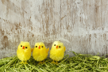 Eastern, chick figurines on artificial grass, Easter card