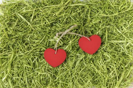 Two hearts on artificial grassの写真素材