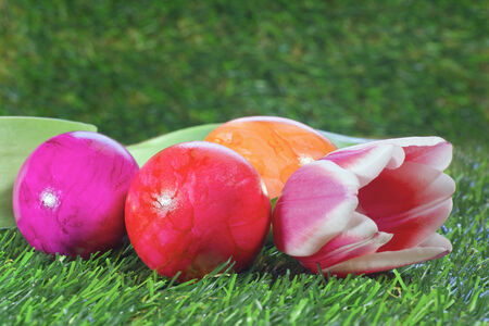 Easter eggs and pink tulipの写真素材