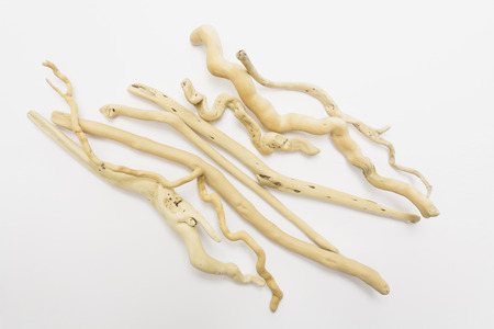 Driftwood on white backgroundの写真素材