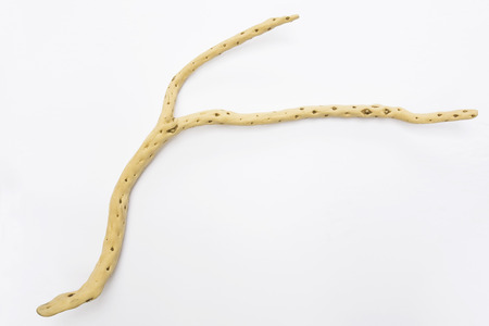 Driftwood on white backgroundの写真素材