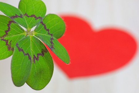 Cloverleaf and red heart