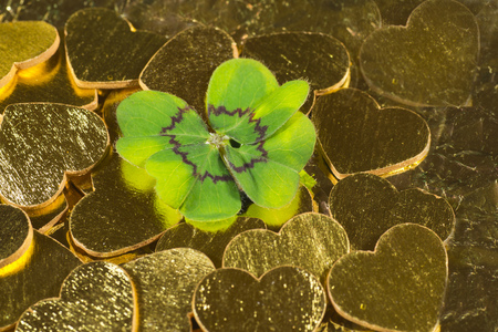 Cloverleaf on golden hearts