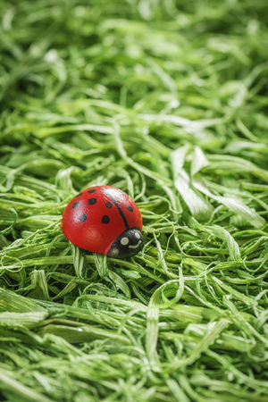 Ladybird figurine on grassの写真素材
