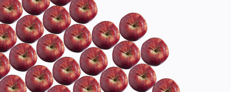 Red apples in rowsの写真素材