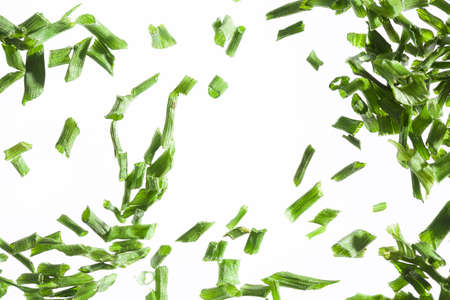 Chopped chives on white backgroundの写真素材