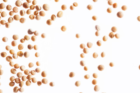 White mustard seeds on white backgroundの写真素材