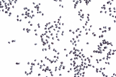 Poppy seeds on white backgroundの写真素材