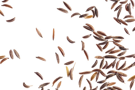 Carraway seeds on white backgroundの写真素材