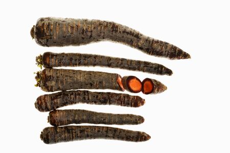 Purple carrots, Purple Hazeの写真素材