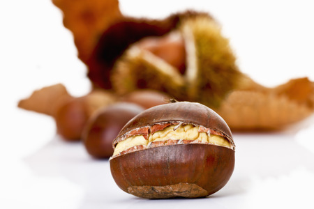 Chestnutsの写真素材