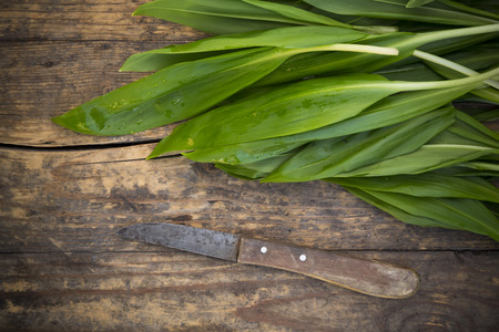 Organic ramson on wooden backgroundの写真素材